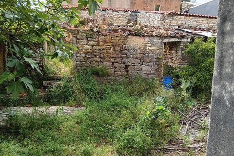 Herregård i Condeixa-a-Nova, Coimbra, Condeixa-a-Nova - € 76 000 | Ref: CAS_1090 - foto 16