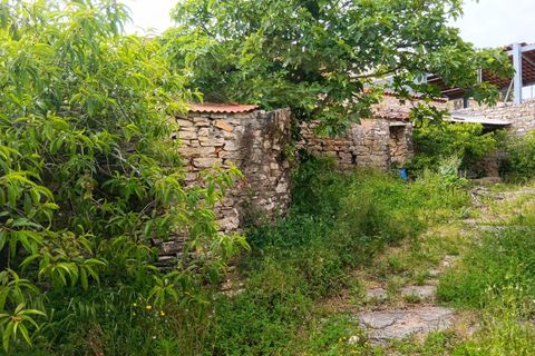 Herregård i Condeixa-a-Nova, Coimbra, Condeixa-a-Nova - € 76 000 | Ref: CAS_1090 - foto 17