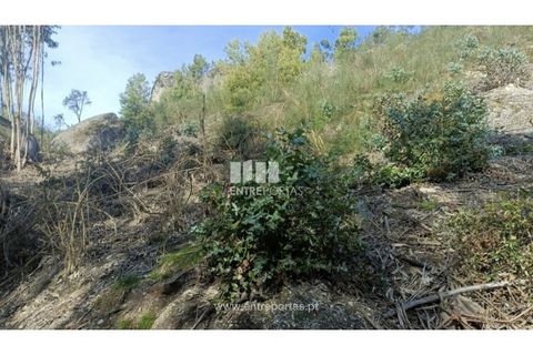Helårsgrund i Penafiel, Porto, Penafiel - € 5.500 | Ref: MC09648 - foto 2