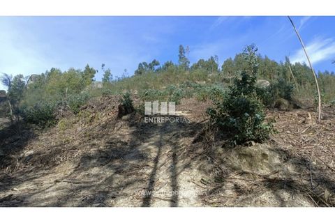 Helårsgrund i Penafiel, Porto, Penafiel - € 5.500 | Ref: MC09648 - foto 4