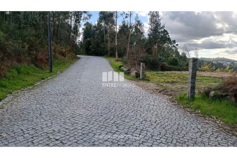 Helårsgrund i Penafiel, Porto, Penafiel - € 32.000 | Ref: MC09314 - foto 2