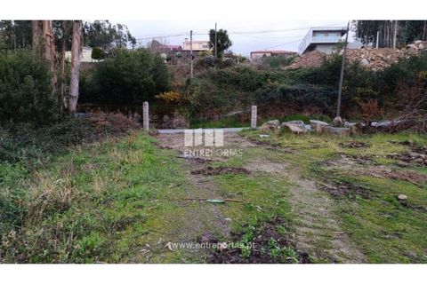 Helårsgrund i Penafiel, Porto, Penafiel - € 32.000 | Ref: MC09314 - foto 3