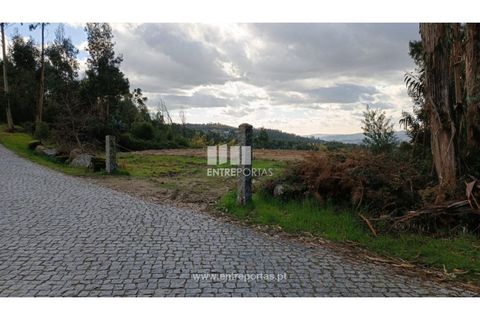 Helårsgrund i Penafiel, Porto, Penafiel - € 32.000 | Ref: MC09314 - foto 5