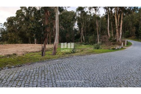 Helårsgrund i Penafiel, Porto, Penafiel - € 32.000 | Ref: MC09314 - foto 8