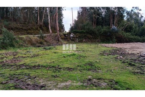 Helårsgrund i Penafiel, Porto, Penafiel - € 32.000 | Ref: MC09314 - foto 11