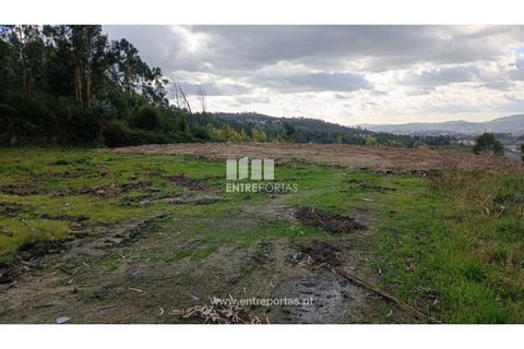 Helårsgrund i Penafiel, Porto, Penafiel - € 32.000 | Ref: MC09314 - foto 12