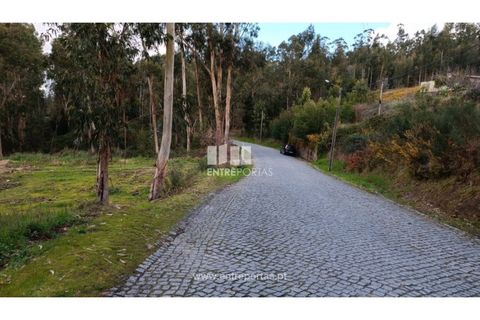 Helårsgrund i Penafiel, Porto, Penafiel - € 32.000 | Ref: MC09314 - foto 13