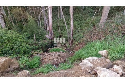 Helårsgrund i Penafiel, Porto, Penafiel - € 32.000 | Ref: MC09314 - foto 14