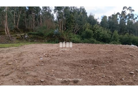 Helårsgrund i Penafiel, Porto, Penafiel - € 32.000 | Ref: MC09314 - foto 16