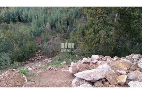 Helårsgrund i Penafiel, Porto, Penafiel - € 32.000 | Ref: MC09314 - foto 17