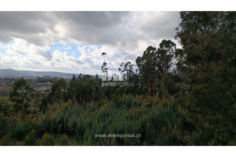 Helårsgrund i Penafiel, Porto, Penafiel - € 32.000 | Ref: MC09314 - foto 18