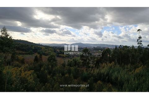 Helårsgrund i Penafiel, Porto, Penafiel - € 32.000 | Ref: MC09314 - foto 19