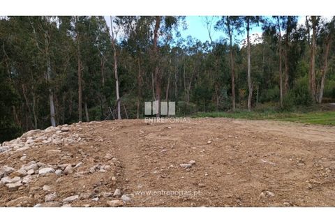Helårsgrund i Penafiel, Porto, Penafiel - € 32.000 | Ref: MC09314 - foto 21