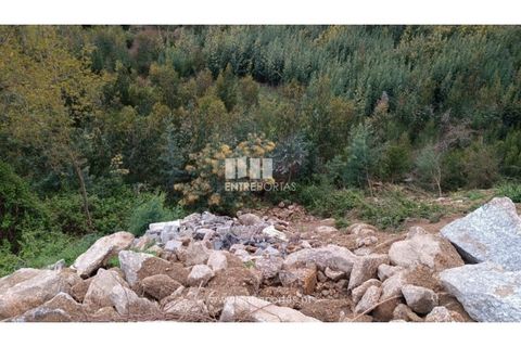Helårsgrund i Penafiel, Porto, Penafiel - € 32.000 | Ref: MC09314 - foto 24