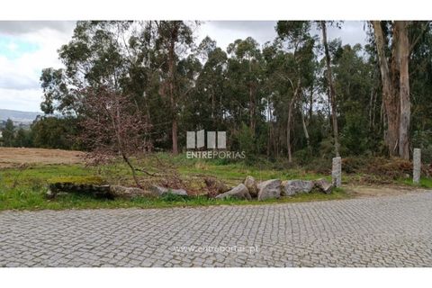 Helårsgrund i Penafiel, Porto, Penafiel - € 32.000 | Ref: MC09314 - foto 25