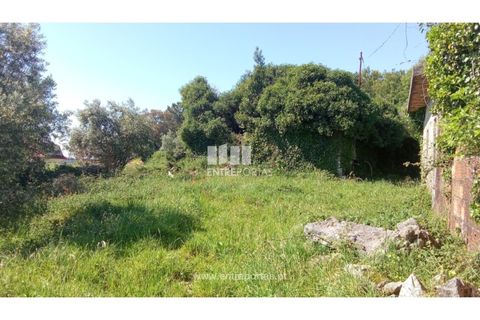 Landejendom i Caminha, Viana do Castelo, Caminha - € 240.000 | Ref: C02789 - foto 1