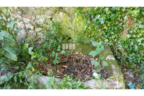 Landejendom i Caminha, Viana do Castelo, Caminha - € 240.000 | Ref: C02789 - foto 2