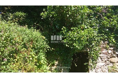 Landejendom i Caminha, Viana do Castelo, Caminha - € 240.000 | Ref: C02789 - foto 3