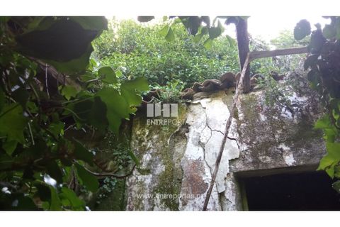 Landejendom i Caminha, Viana do Castelo, Caminha - € 240.000 | Ref: C02789 - foto 4