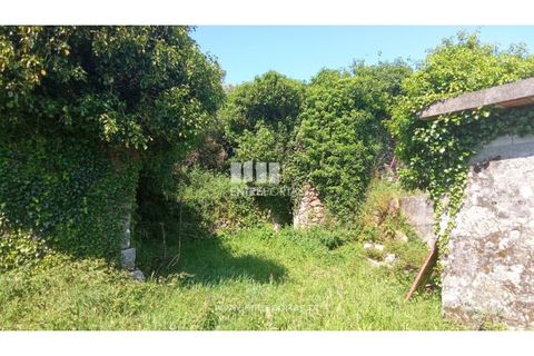 Landejendom i Caminha, Viana do Castelo, Caminha - € 240.000 | Ref: C02789 - foto 7