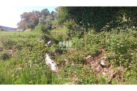 Landejendom i Caminha, Viana do Castelo, Caminha - € 240.000 | Ref: C02789 - foto 18