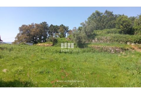 Landejendom i Caminha, Viana do Castelo, Caminha - € 240.000 | Ref: C02789 - foto 19