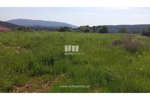 Landejendom i Caminha, Viana do Castelo, Caminha - € 240.000 | Ref: C02789 - foto 23