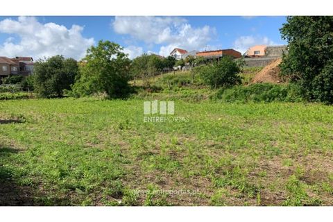 Helårsgrund i Caminha, Viana do Castelo, Caminha - € 100.000 | Ref: C02793 - foto 1