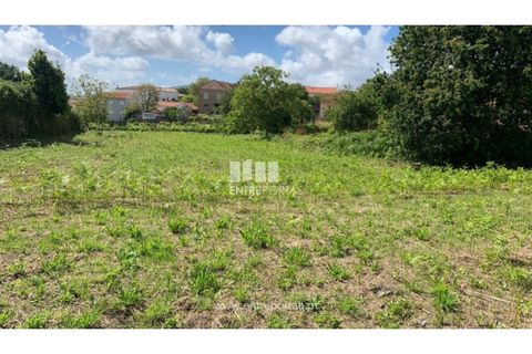 Helårsgrund i Caminha, Viana do Castelo, Caminha - € 100.000 | Ref: C02793 - foto 4