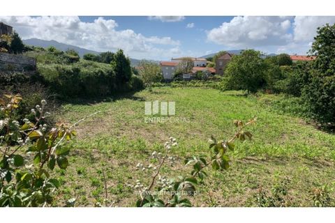 Helårsgrund i Caminha, Viana do Castelo, Caminha - € 100.000 | Ref: C02793 - foto 7