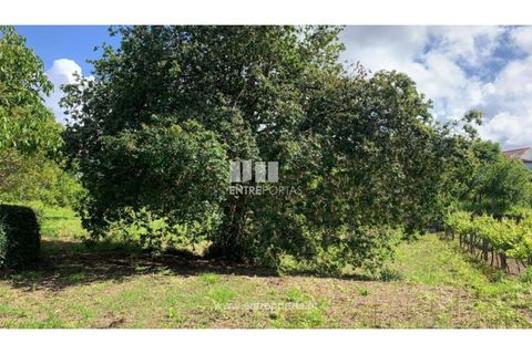 Helårsgrund i Caminha, Viana do Castelo, Caminha - € 100.000 | Ref: C02793 - foto 10