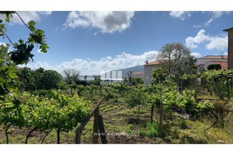 Helårsgrund i Caminha, Viana do Castelo, Caminha - € 100.000 | Ref: C02793 - foto 12