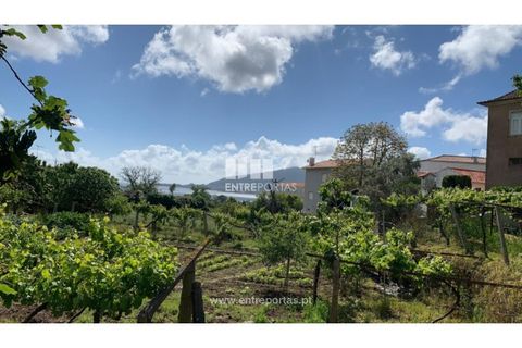 Helårsgrund i Caminha, Viana do Castelo, Caminha - € 100.000 | Ref: C02793 - foto 13
