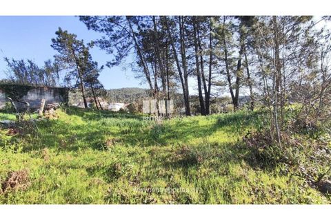 Helårsgrund i Viana do Castelo, Viana do Castelo, Viana do Castelo - € 129.000 | Ref: VCC14283 - foto 9