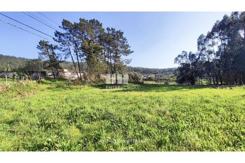Helårsgrund i Viana do Castelo, Viana do Castelo, Viana do Castelo - € 129.000 | Ref: VCC14283 - foto 13
