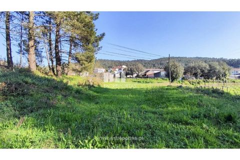 Helårsgrund i Viana do Castelo, Viana do Castelo, Viana do Castelo - € 129.000 | Ref: VCC14283 - foto 16