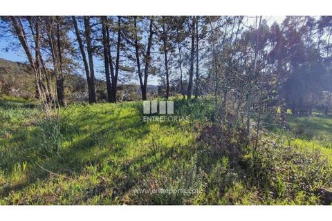 Helårsgrund i Viana do Castelo, Viana do Castelo, Viana do Castelo - € 129.000 | Ref: VCC14283 - foto 22