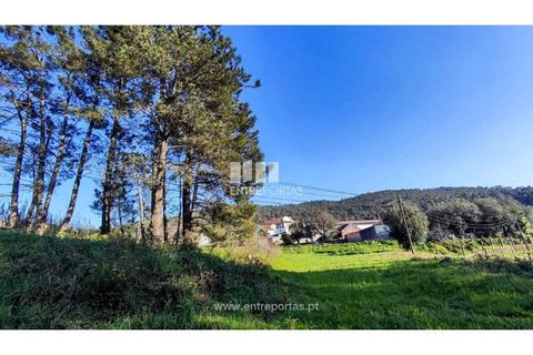 Helårsgrund i Viana do Castelo, Viana do Castelo, Viana do Castelo - € 129.000 | Ref: VCC14283 - foto 24
