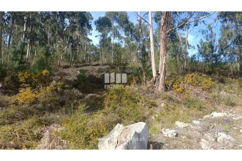 Helårsgrund i Penafiel, Porto, Penafiel - € 30.000 | Ref: MC09646 - foto 2
