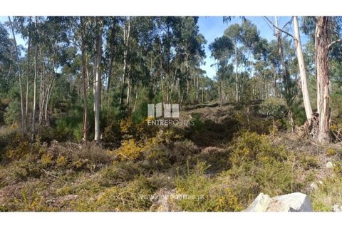 Helårsgrund i Penafiel, Porto, Penafiel - € 30.000 | Ref: MC09646 - foto 3