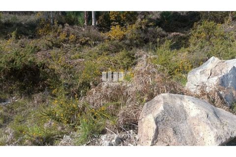 Helårsgrund i Penafiel, Porto, Penafiel - € 30.000 | Ref: MC09646 - foto 4