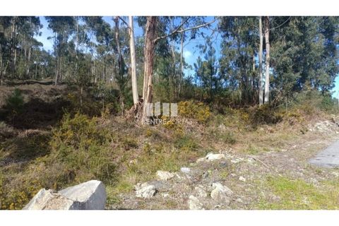 Helårsgrund i Penafiel, Porto, Penafiel - € 30.000 | Ref: MC09646 - foto 5