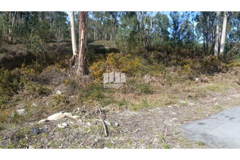 Helårsgrund i Penafiel, Porto, Penafiel - € 30.000 | Ref: MC09646 - foto 7