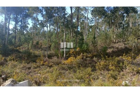 Helårsgrund i Penafiel, Porto, Penafiel - € 30.000 | Ref: MC09646 - foto 8