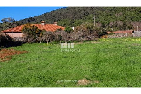 Grond in Areosa, Viana do Castelo, Areosa - € 269.000 | Ref: VCC14247 - foto 4