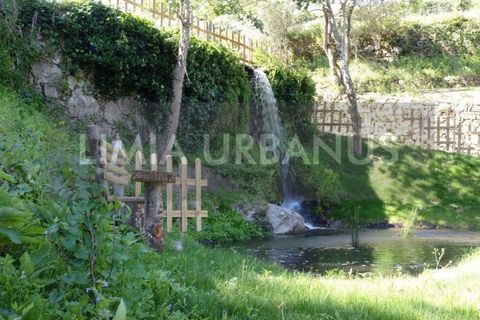 Gård i Ponte de Lima, Viana do Castelo, Ponte de Lima - € 350 000 | Ref: MAS_1131 - foto 8