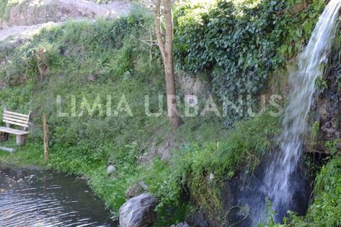 Gård i Ponte de Lima, Viana do Castelo, Ponte de Lima - € 350 000 | Ref: MAS_1131 - foto 9