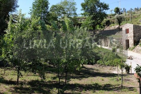 Gård i Ponte de Lima, Viana do Castelo, Ponte de Lima - € 350 000 | Ref: MAS_1131 - foto 15