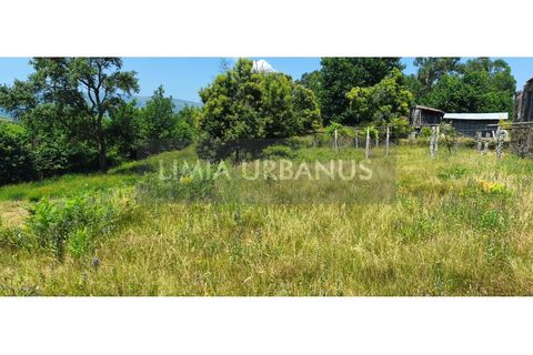Grond in Gondufe, Viana do Castelo, Gondufe - € 40.000 | Ref: TER_1120 - foto 11