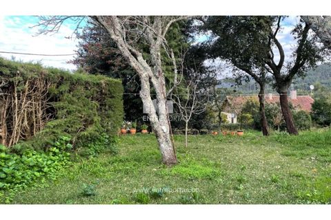 Helårsgrund i Viana do Castelo, Viana do Castelo, Viana do Castelo - € 70.000 | Ref: VCC14196 - foto 3